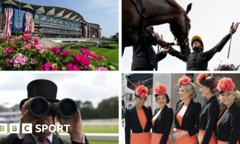 107423719 ascot.jpg