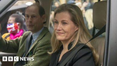 117955039 hi066682741.jpg