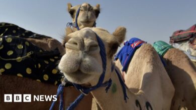 122028795 gettyimages 1234621165.jpg