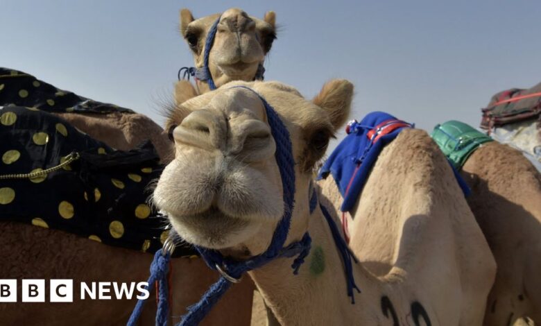 122028795 gettyimages 1234621165.jpg