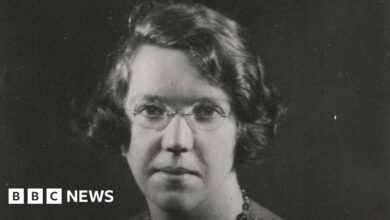 93557006 janehainingportraitweb.jpg