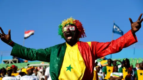 Getty Images A Senegal supporter cheers during the 2019 Africa Cup of Nations (CAN) quarter final football match between Senegal and Benin at the 30 June stadium in Cairo on July 9, 2019.