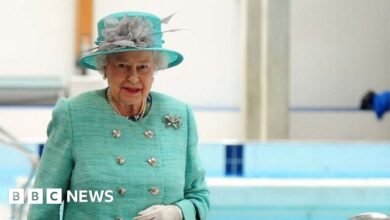 126650972 corby20122.jpg