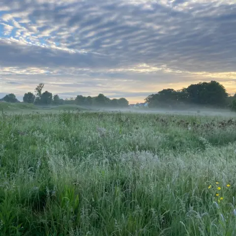 Andrew Clint Early morning mist over a field in the village of Arborfield in Berkshire