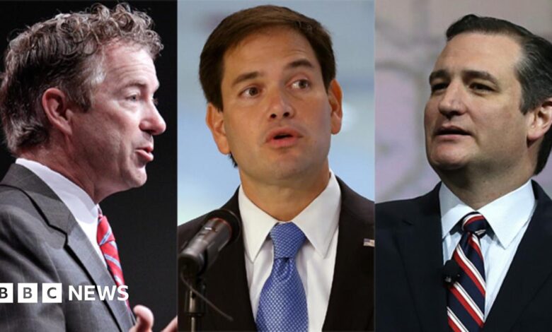 82398252 senators.jpg