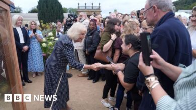 31dcfb10 95f4 11f0 a0a7 cf8877c9fa49.jpg